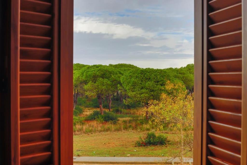 Precioso apartamento a 700 m del mar Chiclana de la Frontera Exterior foto